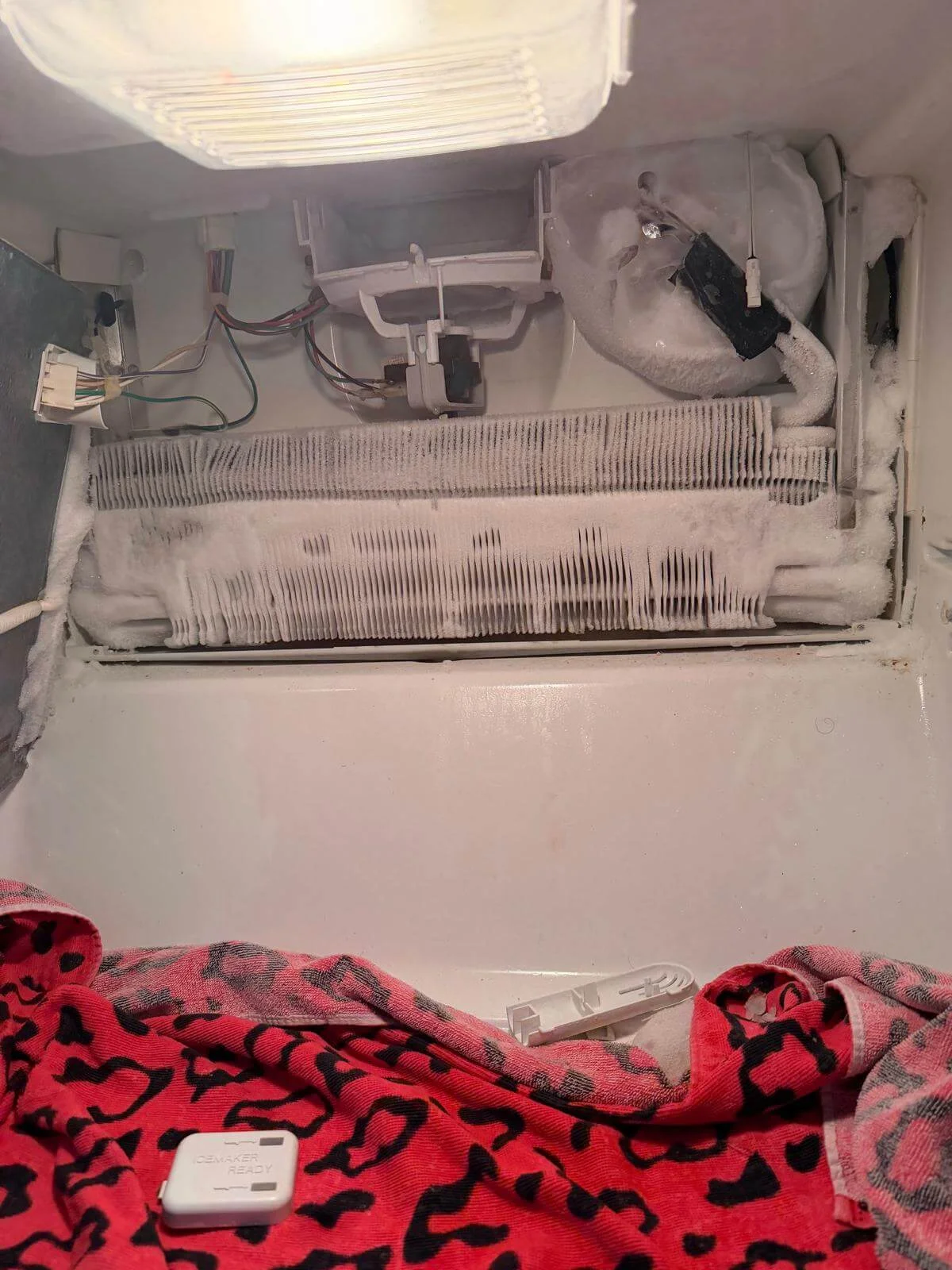 Freezer repair by 911 Appliance Repair Services
